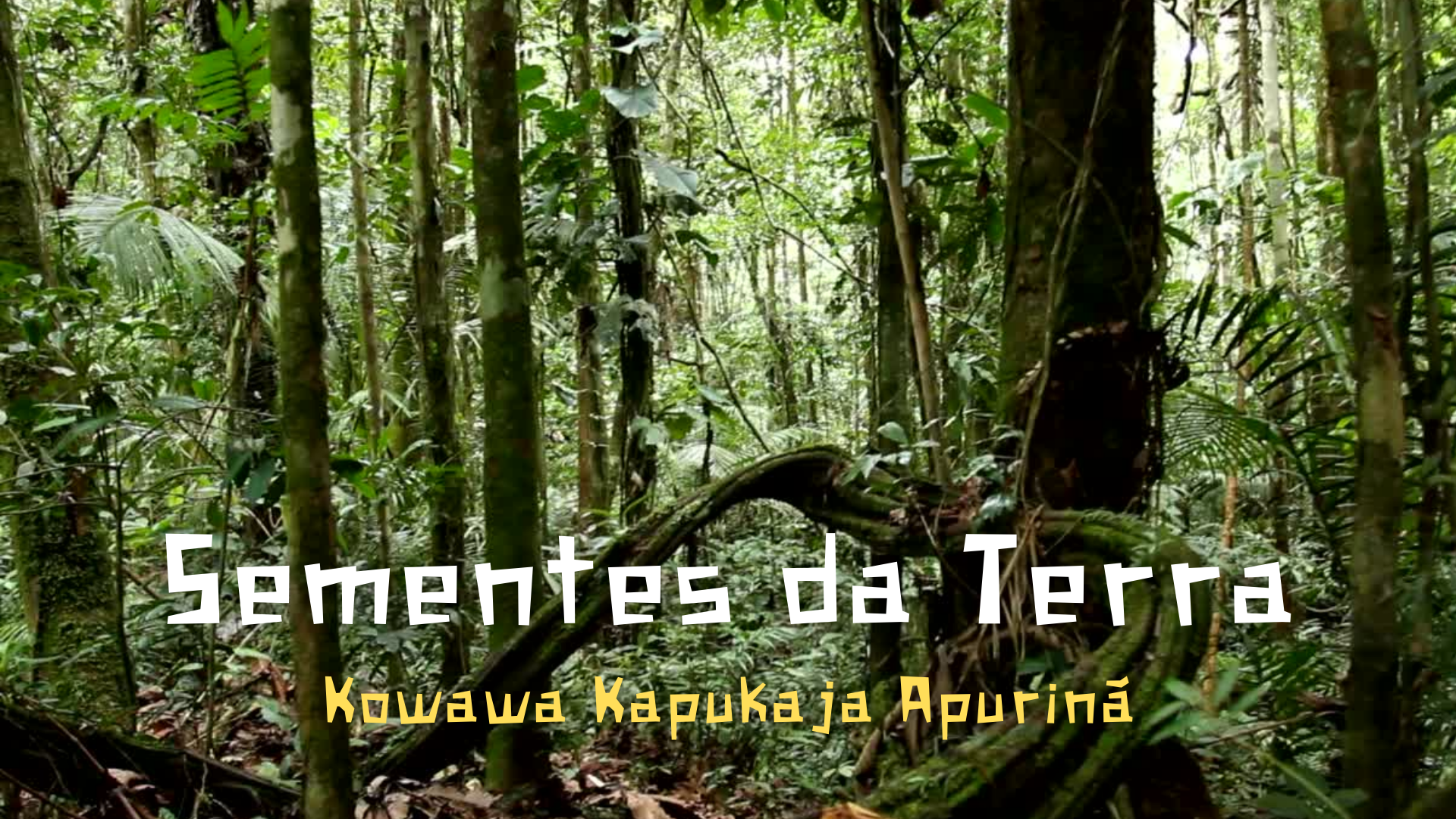 Sementes da Terra