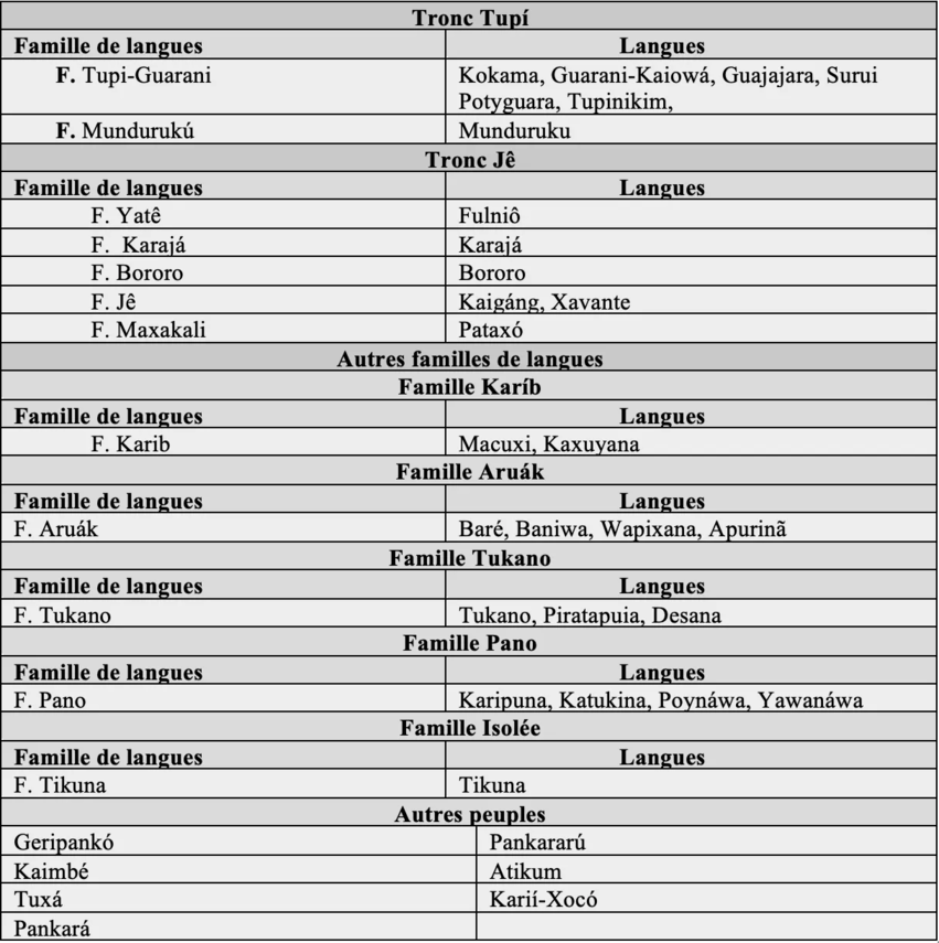 Tronc, familles linguistiques et peuples parmi les Universitaires Indigènes à l’UnB. - Tableau élaboré par l’auteur